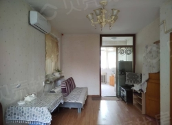 整租·安美小区 1室1厅 南_安美小区租房