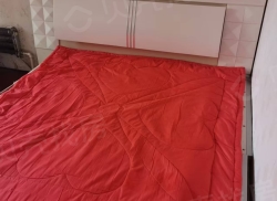 整租·林江名城 2室1厅 南_林江名城租房