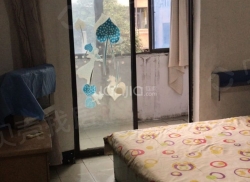 整租·六号街坊 1室1厅 南_六号街坊租房