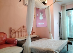 整租·望江园 1室1厅 南_望江园租房