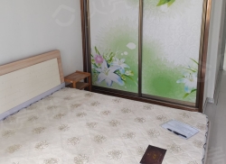 整租·金海·滨江3号 2室1厅 南/北_金海·滨江3号租房