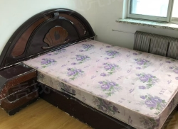 整租·港湾小区 2室1厅 南_港湾小区租房