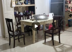 整租·柳组团 3室2厅 南/北_柳组团租房