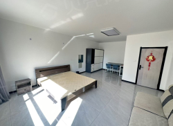 整租·平安北区 1室1厅 南_平安北区租房