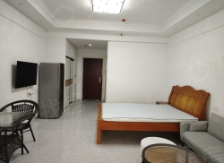 整租·金鑫未来港 1室1厅 南_金鑫未来港租房