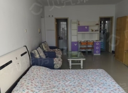 整租·鸿臣富丽 1室1厅 南/北_鸿臣富丽租房