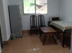 整租·南湖花园综合楼 1室1厅 南_南湖花园综合楼租房