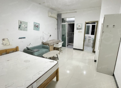 整租·金领公寓 1室0厅 南_金领公寓租房