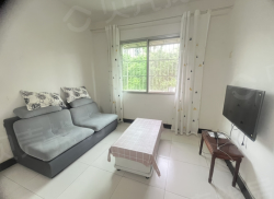 整租·文华苑 2室2厅 南_文华苑租房