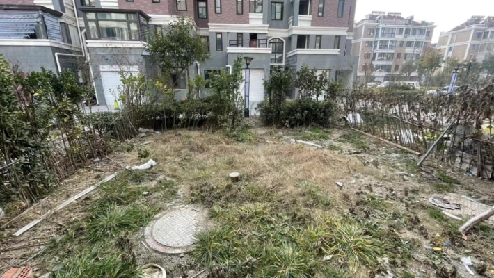 上海之春二期 一楼带大院子 123排屋 随时看房-入户花园
