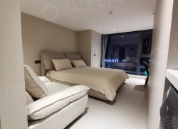 整租·卓越中寰 1室1厅 北_卓越中寰租房