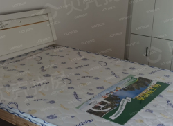 整租·东方龙城秉心苑 2室1厅 南_东方龙城秉心苑租房