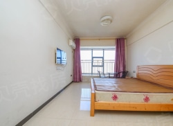 整租·财富广场(青原区) 1室1厅 南_财富广场(青原区)租房