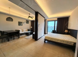 整租·神州半岛君临海 1室2厅 南_神州半岛君临海租房