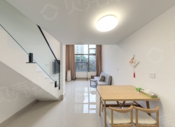 整租·龙湖天玺院 1室1厅 复式 西_龙湖天玺院租房