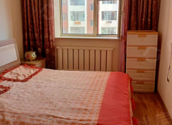 整租·柴南小区 1室1厅 南_柴南小区租房