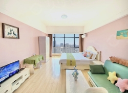 整租·乐天世纪城 1室0厅 南_乐天世纪城租房