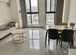 整租·边城悦都荟 2室1厅 南_边城悦都荟租房