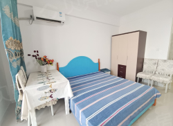 整租·宝地铂金公寓 1室1厅 南/北_宝地铂金公寓租房