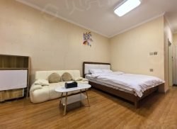 整租·财富官邸南区 1室1厅 北_财富官邸南区租房