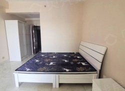 整租·伟业中央公园 1室1厅 西_伟业中央公园租房