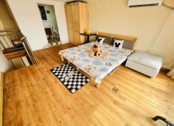 整租·钻石国际 1室1厅 西_钻石国际租房