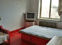 整租·桃南小区 1室1厅 南_桃南小区租房