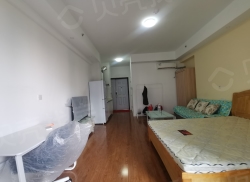 整租·阳光100奎文印 1室1厅 南_阳光100奎文印租房