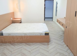 整租·百度城 1室1厅 南_百度城租房