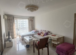 整租·金海湾森林逸城 1室1厅 南_金海湾森林逸城租房