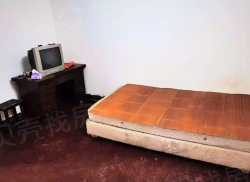 整租·锅检所宿舍 1室1厅 南_锅检所宿舍租房