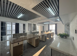 整租·新天地 1室1厅 南_新天地租房