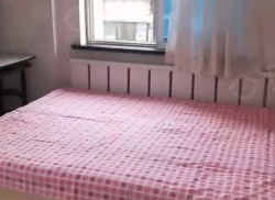 整租·港湾小区 1室1厅 南_港湾小区租房
