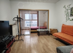 整租·乐天世纪城 1室1厅 西_乐天世纪城租房