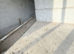 整租·融创美伦熙语二期 1室1厅 西/北_融创美伦熙语二期租房