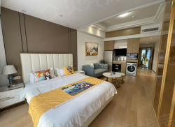 整租·中冶盛世国际广场 1室0厅 南_中冶盛世国际广场租房