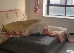 整租·康达公园新城(常青街路西) 3室2厅 南_康达公园新城(常青街路西)租房