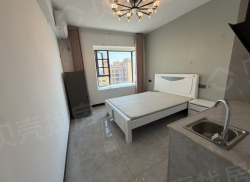 整租·长虹银湖新都 1室1厅 南_长虹银湖新都租房