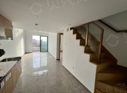 整租·富力•南湖壹品 3室2厅 复式 西_富力•南湖壹品租房