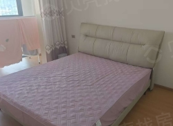 整租·双树望城东区 3室1厅 南_双树望城东区租房