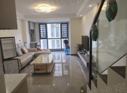 整租·实地蔷薇国际8期 1室1厅 南_实地蔷薇国际8期租房