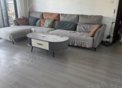 整租·碧桂园尚东名邸 3室2厅 南_碧桂园尚东名邸租房