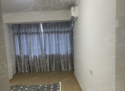 整租·北正街 1室1厅 南/北_北正街租房