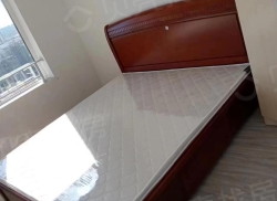 整租·沈抚中南熙悦 2室1厅 南/北_沈抚中南熙悦租房