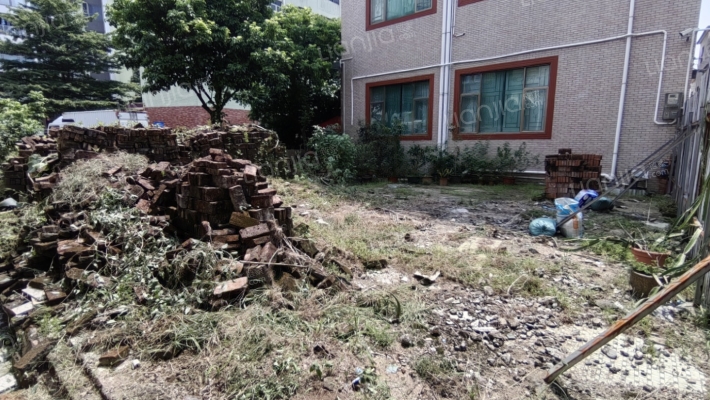 大良单家红岗居委会二手房实景图