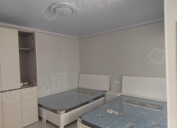 整租·天元小区 15室1厅 南/北_天元小区租房