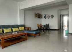 整租·帝景国际 1室1厅 南/北_帝景国际租房