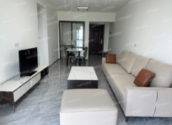 整租·领地蘭台府 3室2厅 东南_领地蘭台府租房