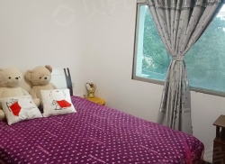 整租·磁湖路35号 2室1厅 南_磁湖路35号租房