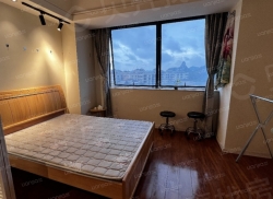 整租·万达广场 1室1厅 南_万达广场租房